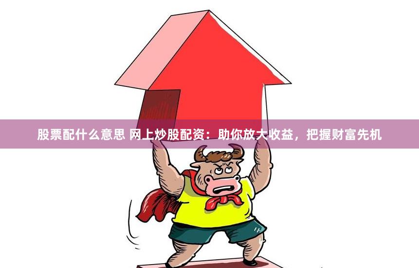 股票配什么意思 网上炒股配资:助你放大收益,把握财富先机