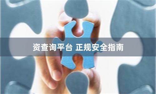 资查询平台 正规安全指南
