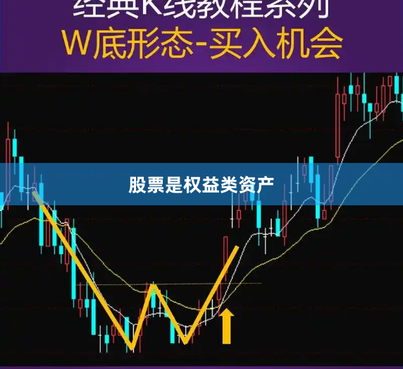 股票是权益类资产
