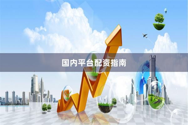国内平台配资指南